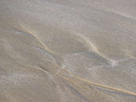 Sands of puerto pe asco 36