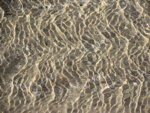 Sands of puerto pe asco 37