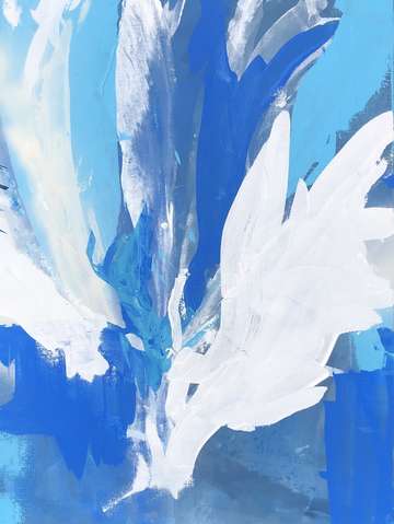 Splash 7