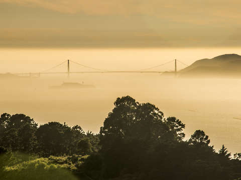 Misty golden gate