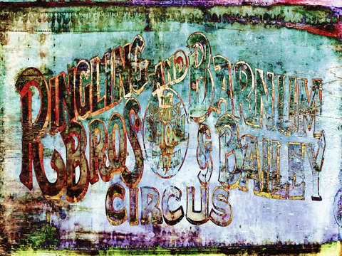 Circus 4