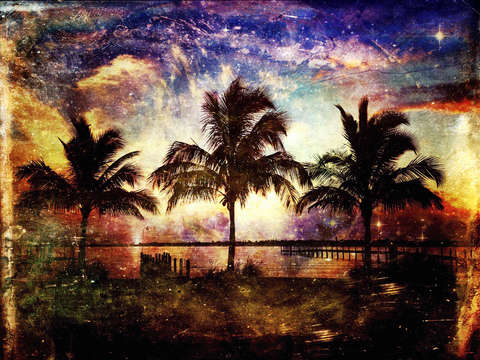 Tropical night