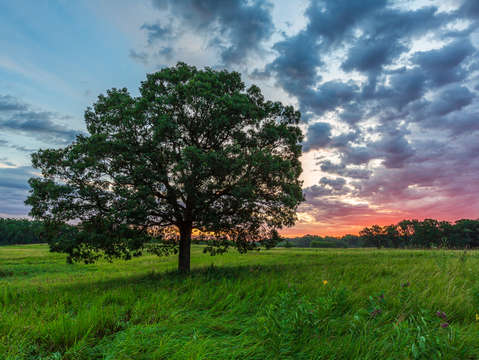Midsummer rise