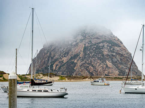 Fog over morro rock