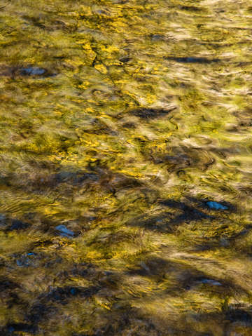 Wavy reflection
