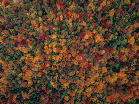 Fall abstract