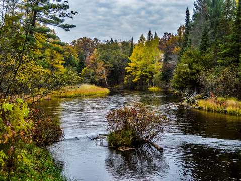 Au sauble river dsc 0684