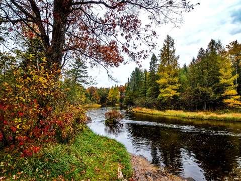 Au sauble river dsc 0680