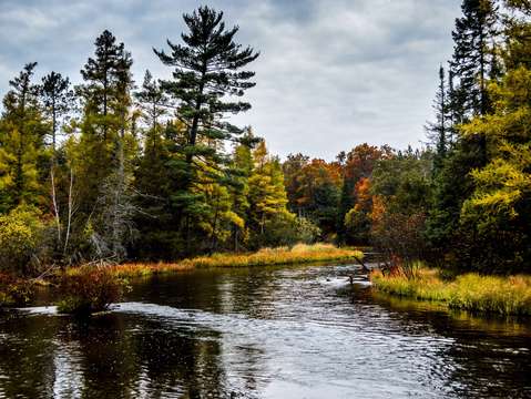 Au sauble river dsc 0694
