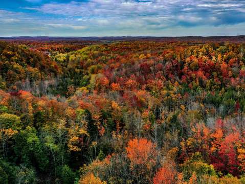 Fall colors in the jordan valley dji 0156