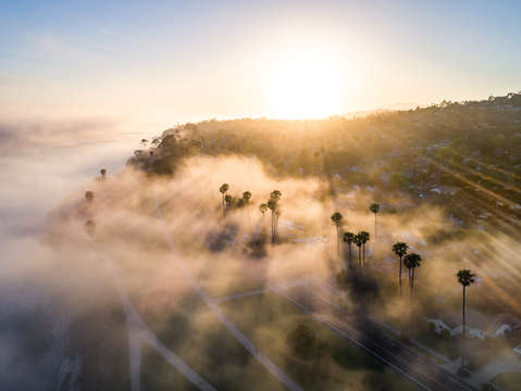 Above the fog