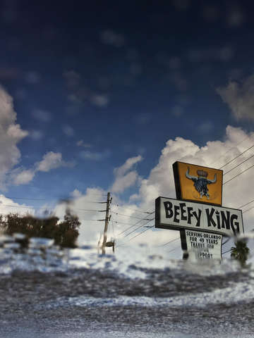 Beefy king