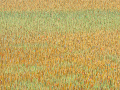 Grasslands 361
