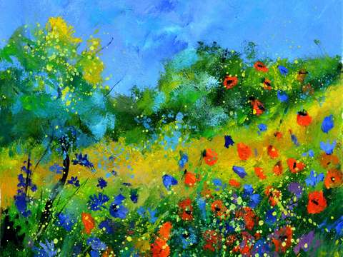 Red poppies 3
