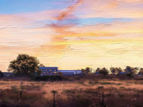 Farmers morning painterly