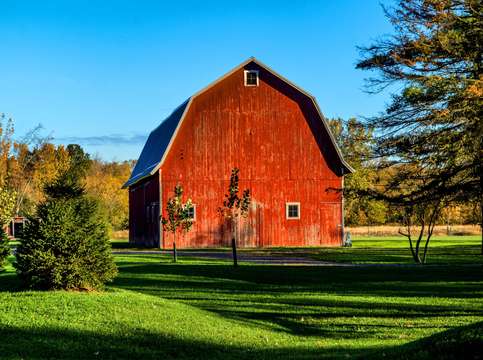 Red barn dsc 0697