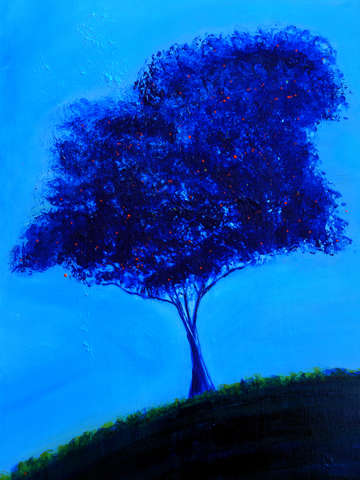 Orange tree