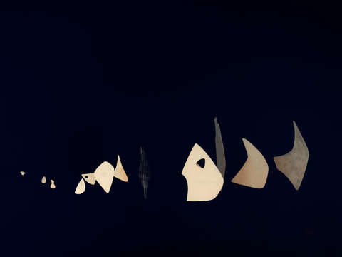 Shells 001