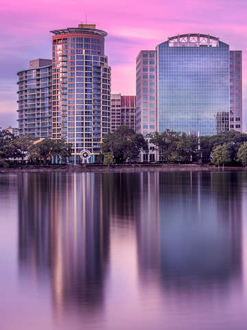 Pink eola