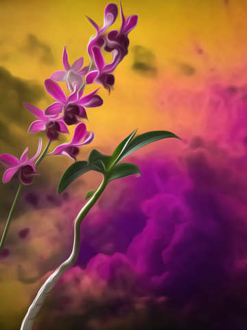 Orchid running actg