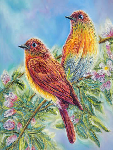 Song birds