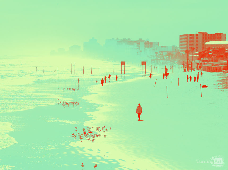 Endless summer 3