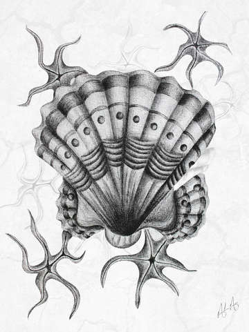Dystopian cockle