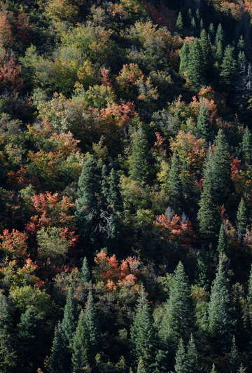 Wasatch mountains color