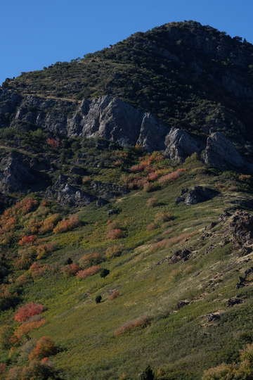 Wasatch mountains color 2