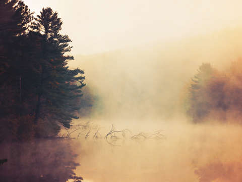 Crooked and foggy