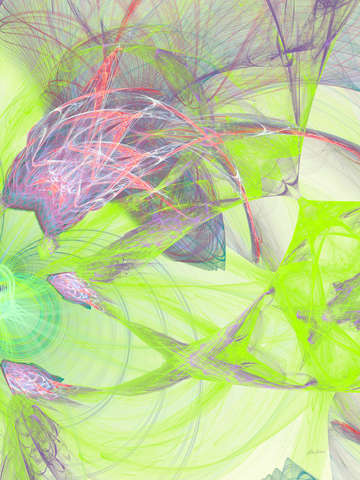 Plumage 10736a