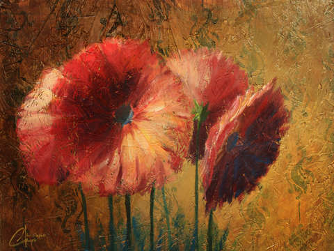 Wild daisies i