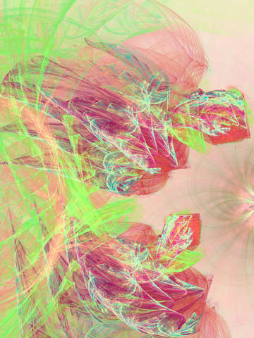 Plumage 10737