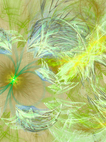 Plumage 10739