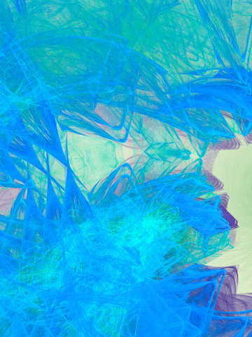 Plumage 10740a