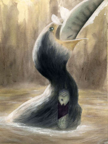 The Cormorants Belly