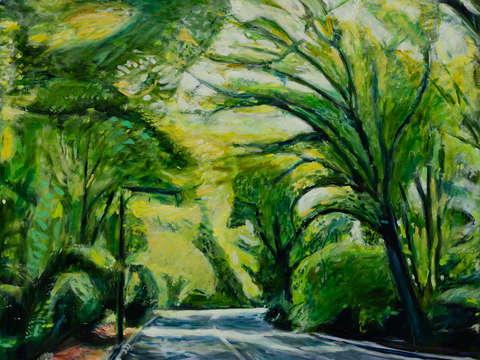 Prospect park running path