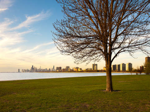 Skyline of chicago at evening