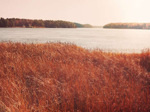 Exploring along the kennebec