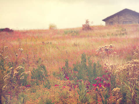 Autumn in new england