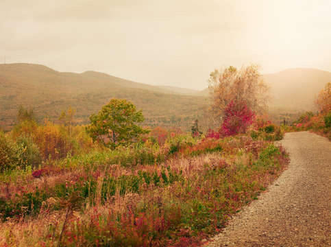 Wandering through autumn