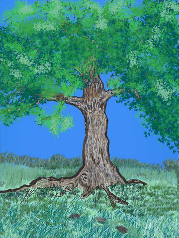 Tree grass sky