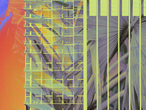 High rise gardening