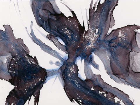 Black orchid