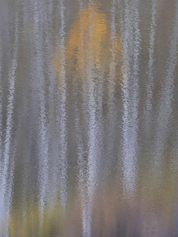 Aspen reflected
