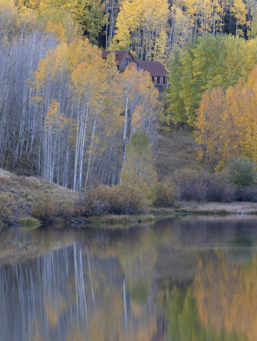Fall color cabin