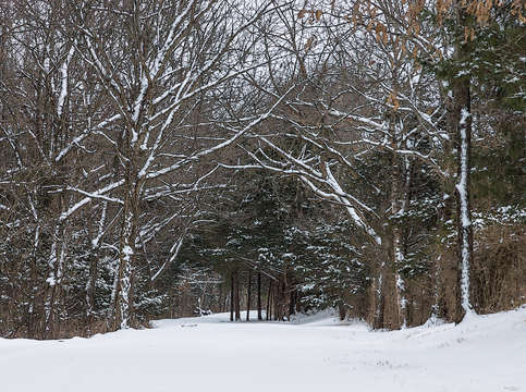 Snow covered road painterly