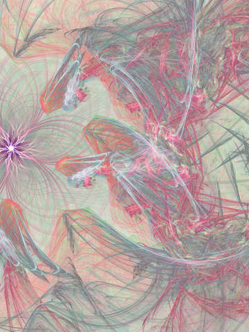Plumage 10952