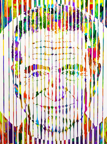 Robin i