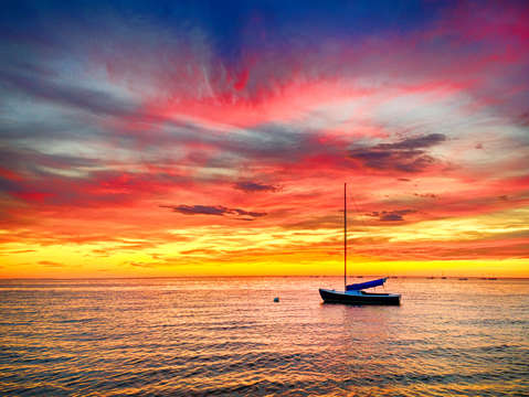 Cape cod summer